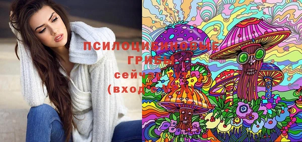 бошки Аркадак