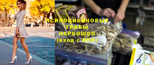 бошки Аркадак