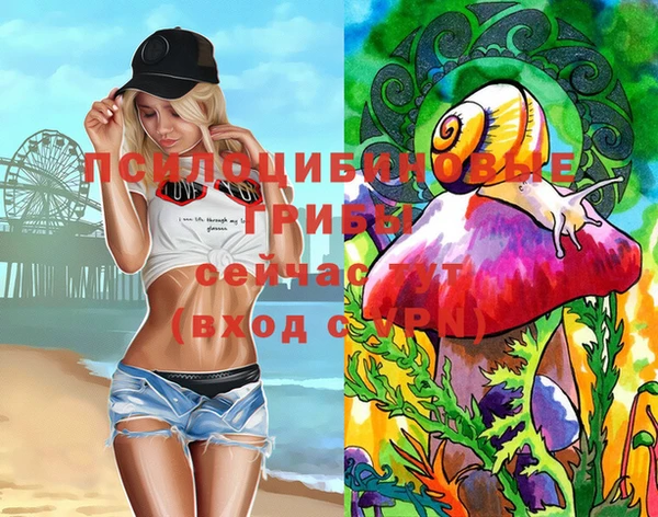 бошки Аркадак